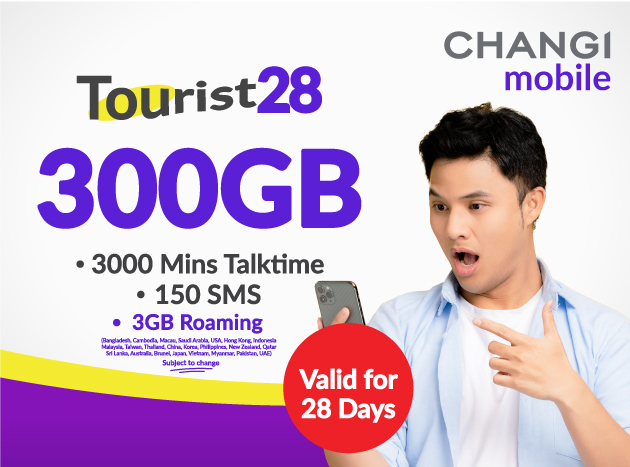 Travel Recommends Portable Travel WiFi Rental SIM Cards Attractions 